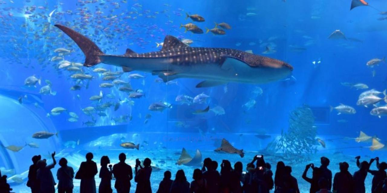 グランディオーソ沖縄ヴィラ恩納1 Onna Exterior photo